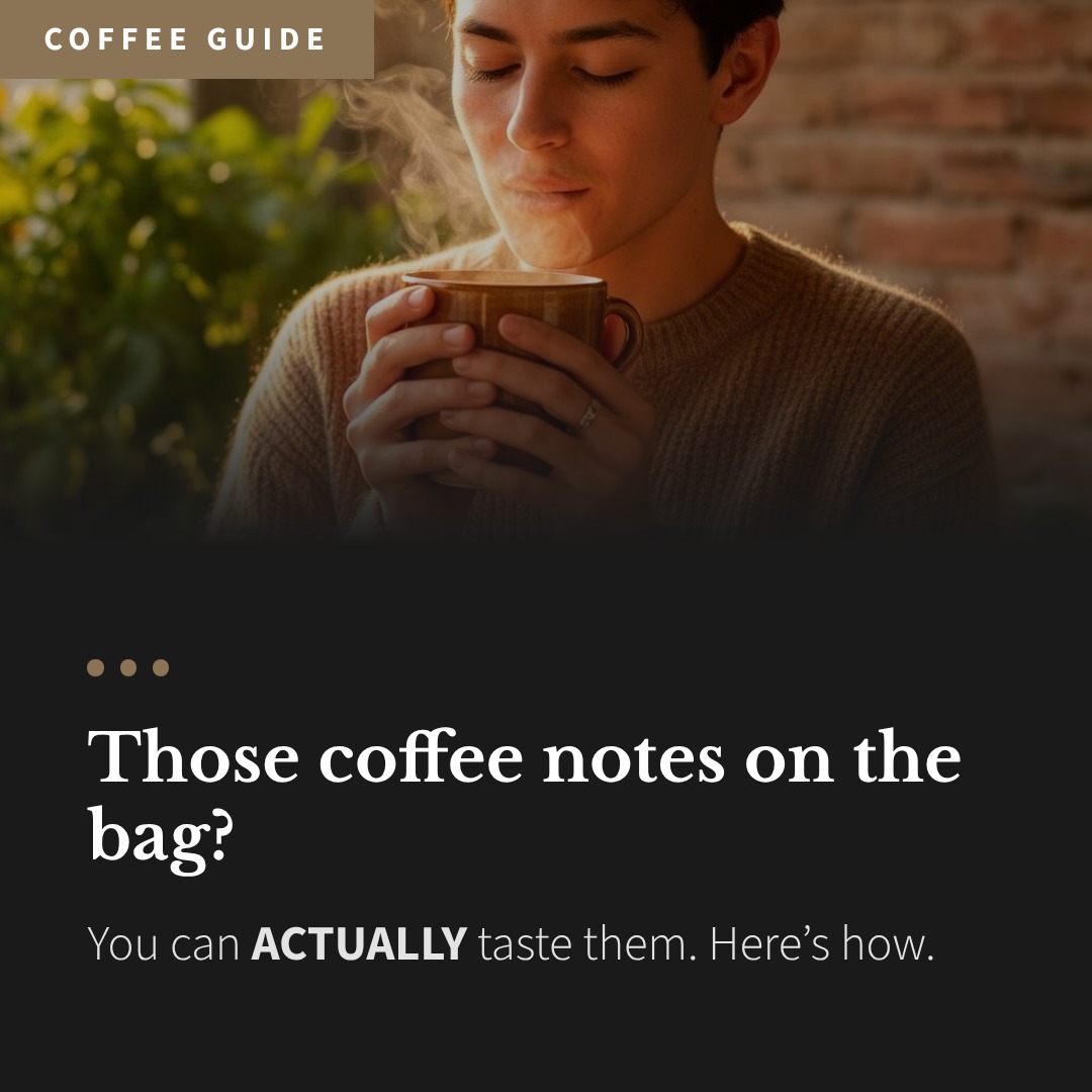 The Daily Grind post